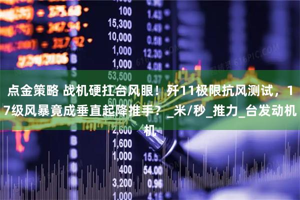 点金策略 战机硬扛台风眼！歼11极限抗风测试，17级风暴竟成垂直起降推手？_米/秒_推力_台发动机
