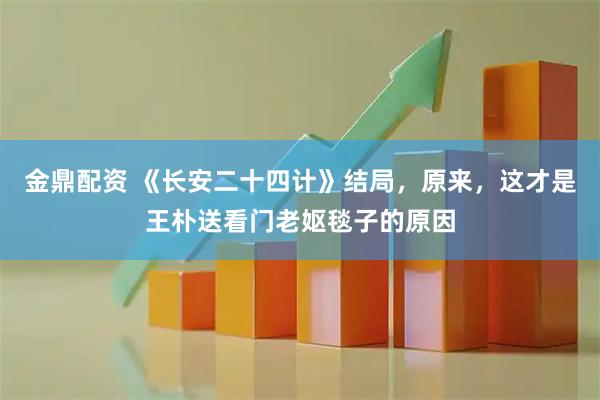 金鼎配资 《长安二十四计》结局，原来，这才是王朴送看门老妪毯子的原因